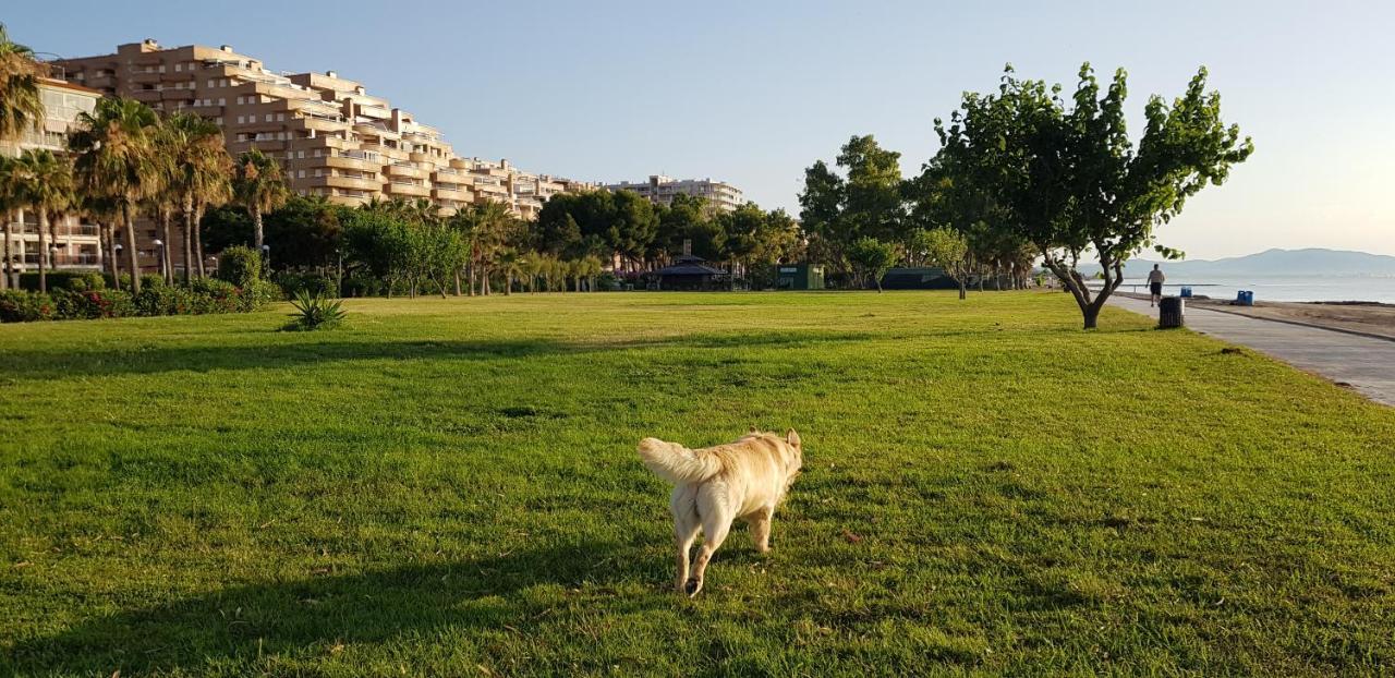 Primera Linea Acapulco III Oropesa del Mar Εξωτερικό φωτογραφία
